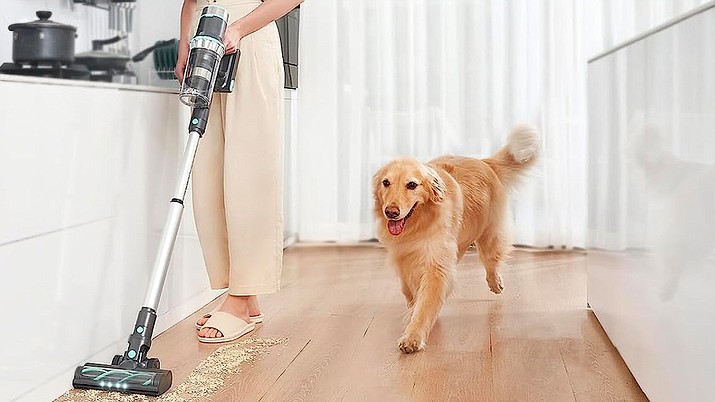 Vacuum Cleaner Showdown: Bagged vs. Bagless Models